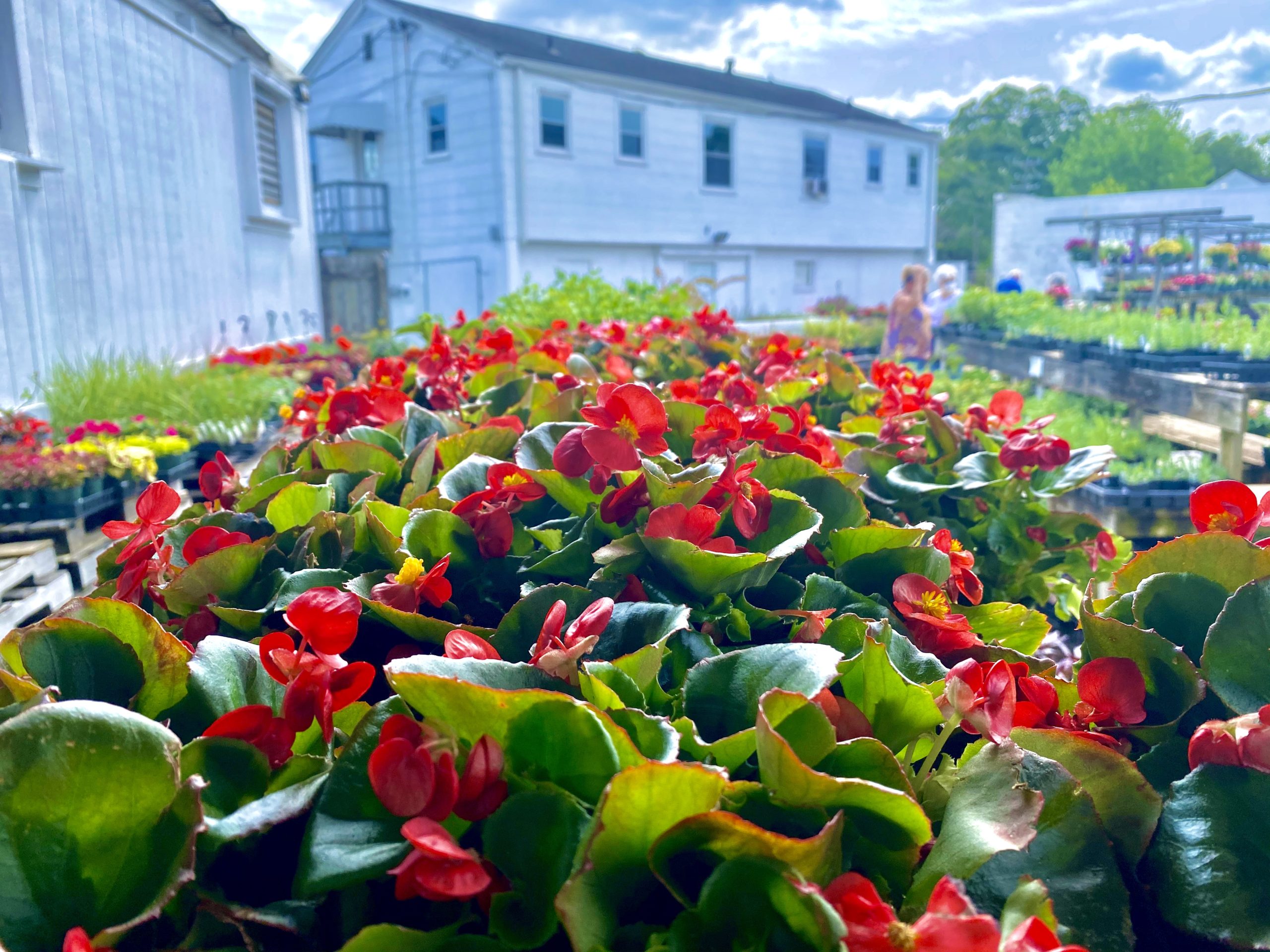 Norfolk County Feed and Seed Portsmouth Tourism