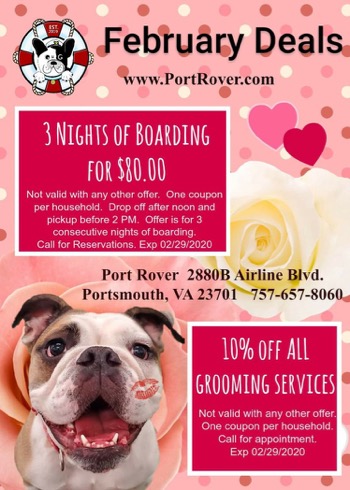 Port Rover Boarding and Grooming flyer