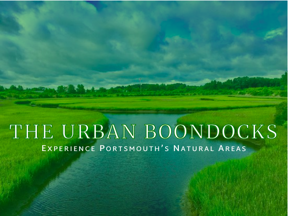 Paradise Creek Nature Park in Portsmouth Virginia is the best example of an Urban Boondocks