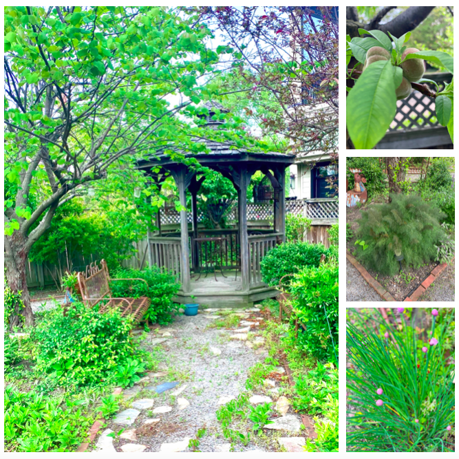 Portsmouth Garden Shops Local Home and Garden Shops for Outdoor