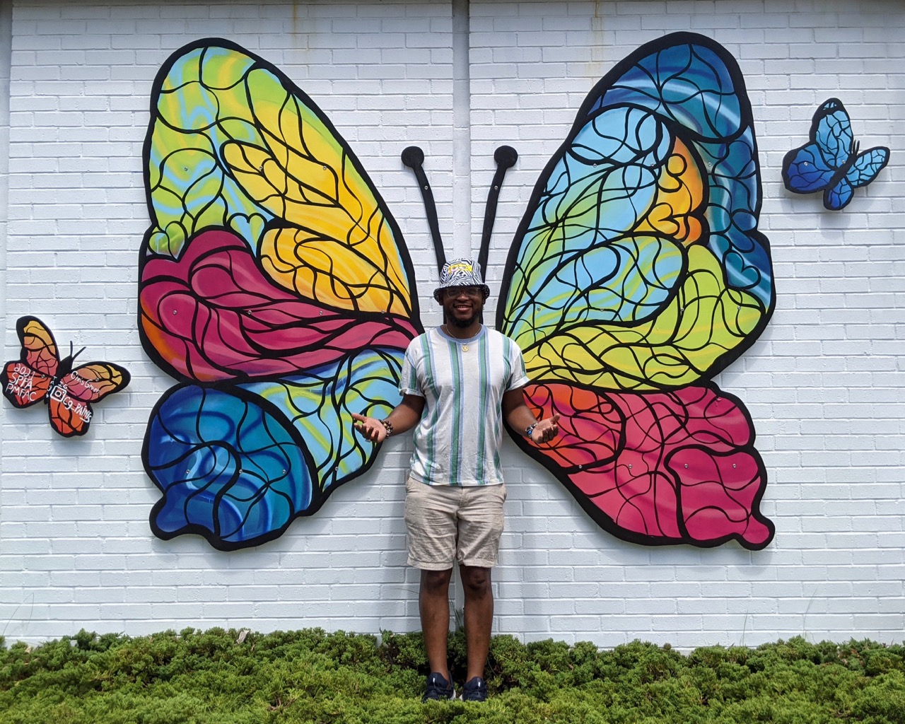 Wings Public Art installation of Butterfly Wings