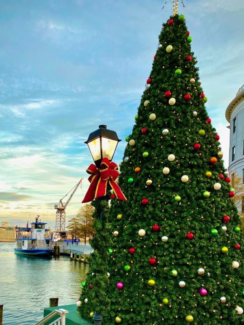 Christmas tree at High Street Landing with ferry in background 