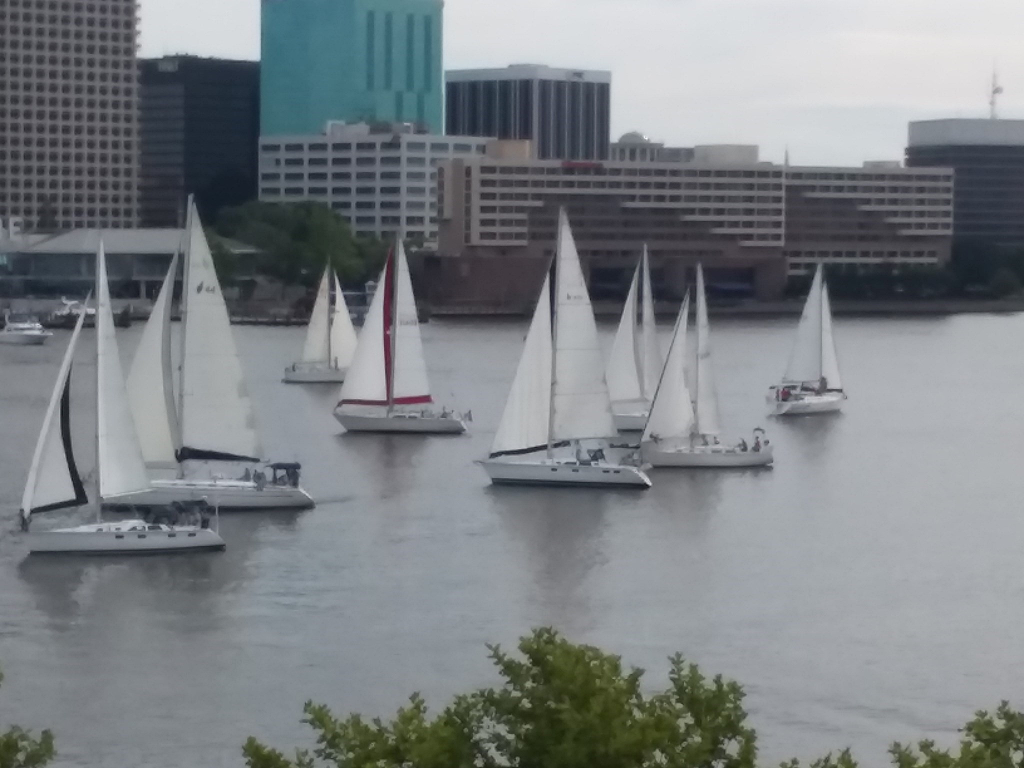 sailsboats on the Elizabeth River with Norfolk syline in background
